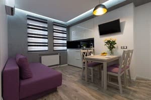 Квартира CityApartments Akademmistechko Kyiv. Делюкс двухместный +2   276/2 1